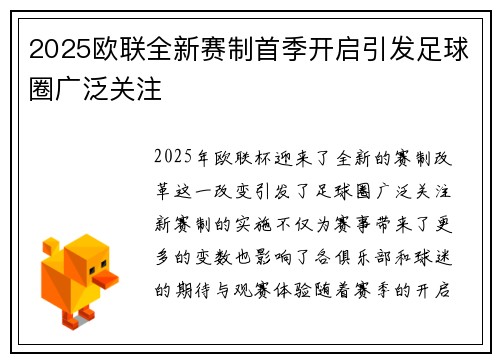 2025欧联全新赛制首季开启引发足球圈广泛关注 2025欧联全新赛制首季开启引发足球圈广泛关注